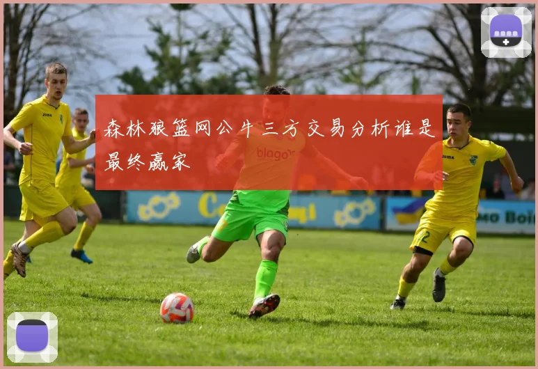 森林狼篮网公牛三方交易分析谁是最终赢家