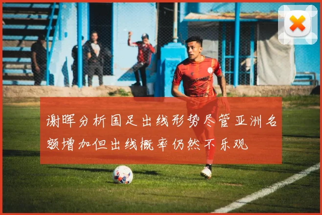 谢晖分析国足出线形势尽管亚洲名额增加但出线概率仍然不乐观